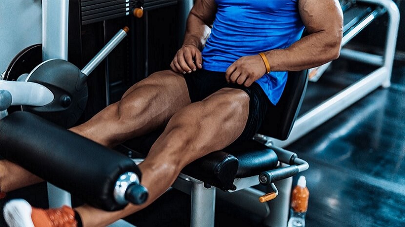 25 Best Muscle-Building Leg Workouts To Tone Your Legs