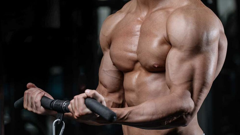 Moves for Your Biceps