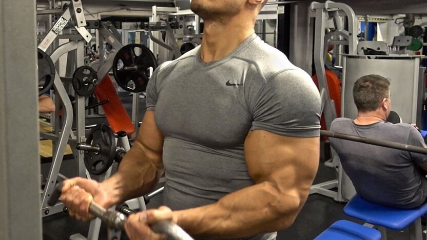 Big Bicep Exercises