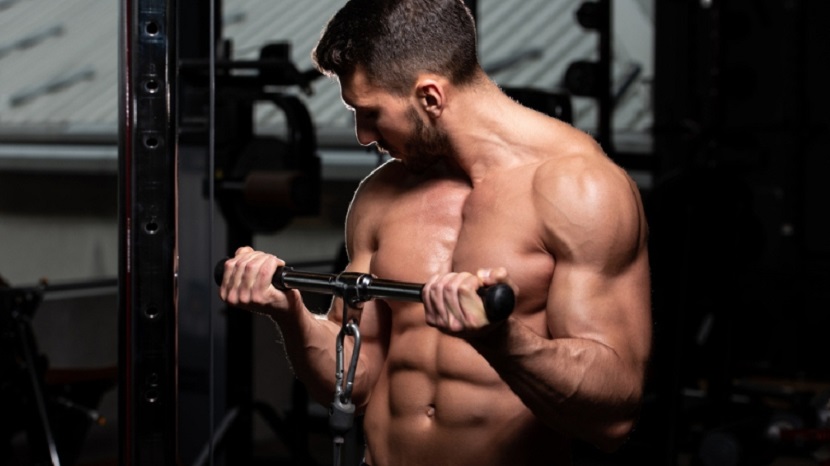 Cable Curl Biceps Exercise