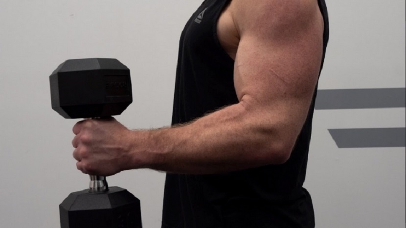 Hammer Curl Exercise