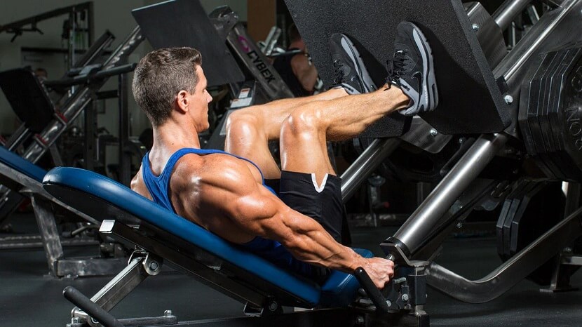 Leg Press Exercise