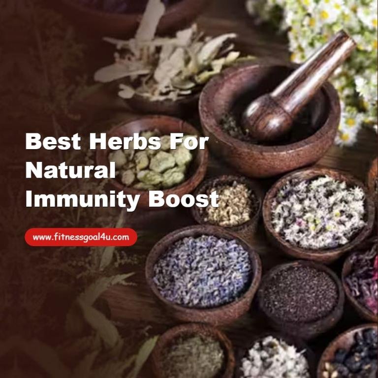 Best Herbs for Natural Immunity Boost