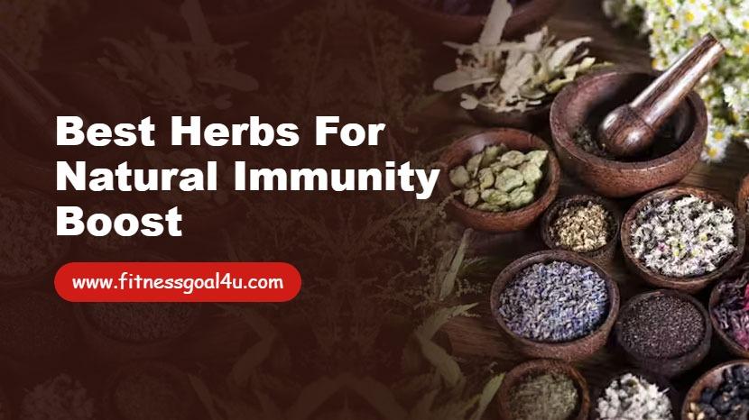 Best Herbs for Natural Immunity Boost