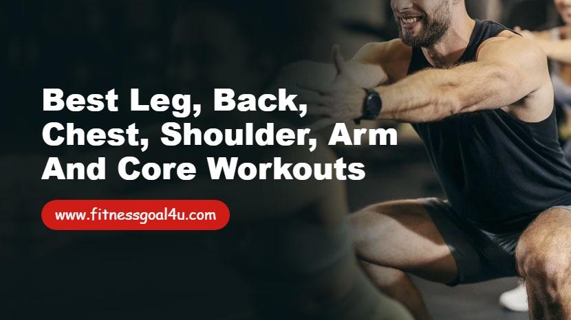 Best Leg, Back, Chest, Shoulder, Arm and Core Workouts