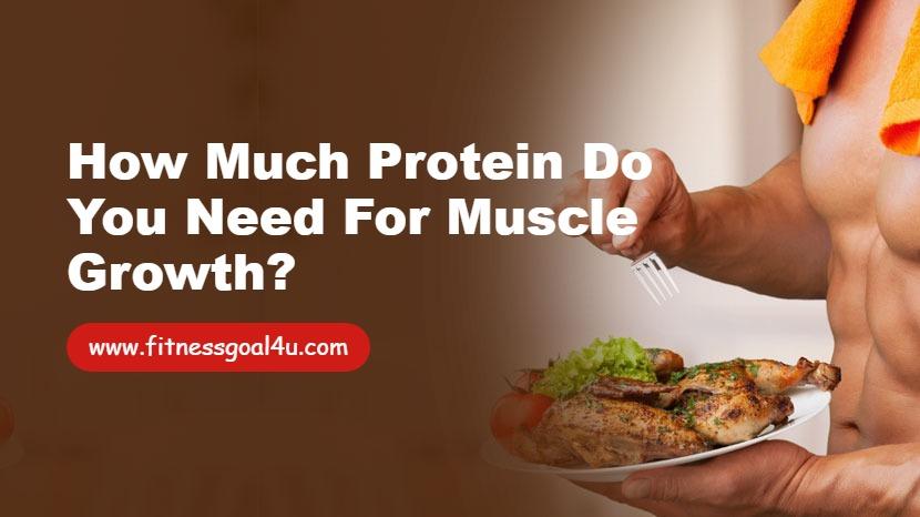 How Much Protein Do You Need for Muscle Growth?