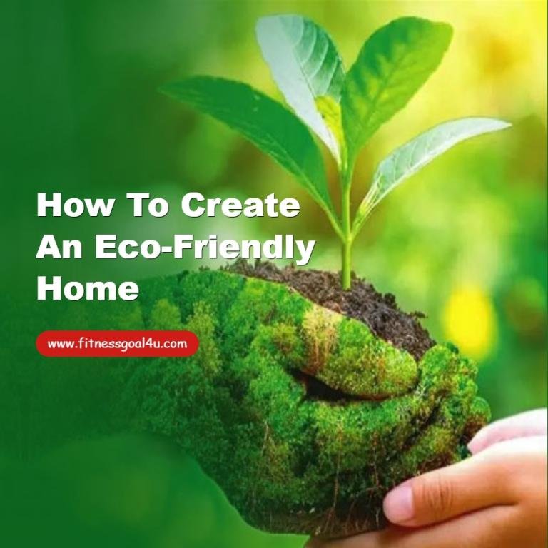 How to Create an Eco-Friendly Home