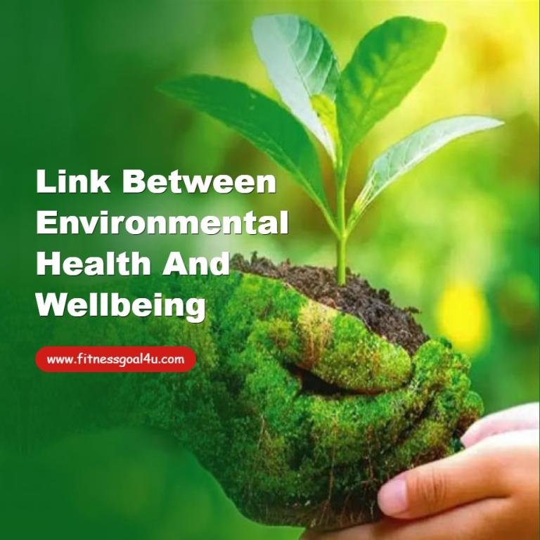Link Between Environmental Health and Wellbeing