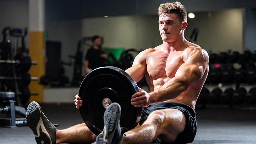 What Is the Plate Squeeze Plate Press?