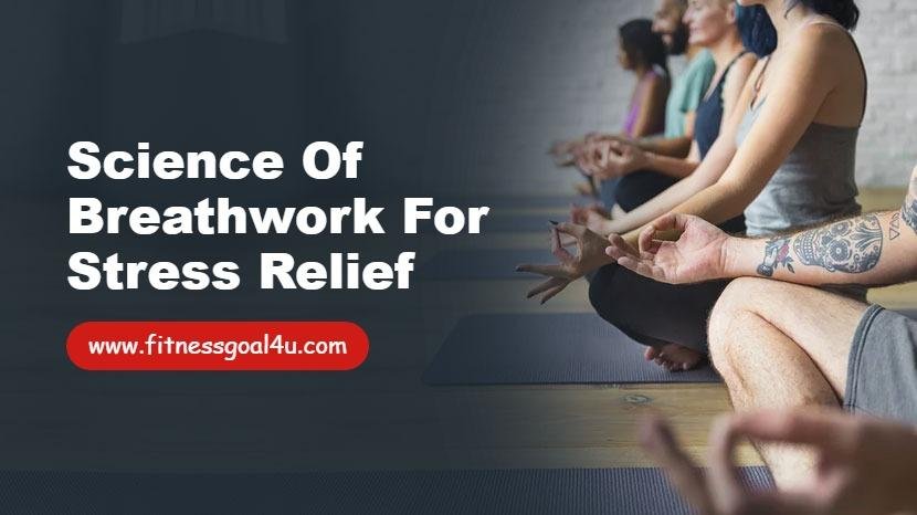 Science of Breathwork for Stress Relief